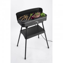 BBQ Fritel électrique et...