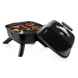 BBQ Princess Charbon et...