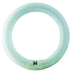 Circline TL 22cm G10Q 22W...