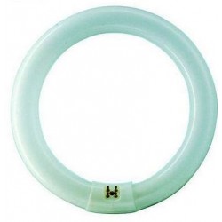 Circline TL 30cm G10Q 32W...