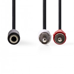 Adaptateur 2 cinch RCA...
